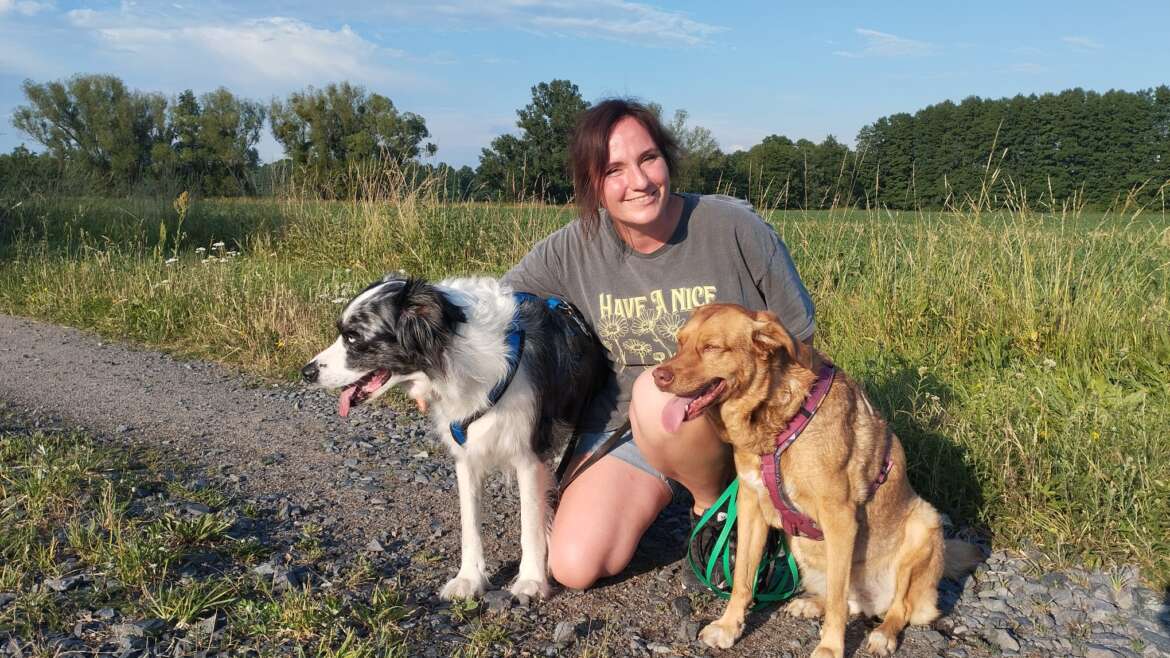 Hundezimmer 1