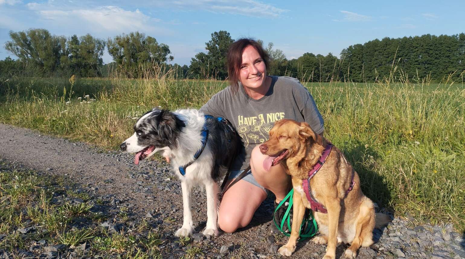 Hundezimmer 1