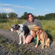 Hundezimmer 1