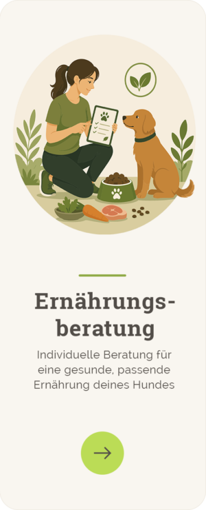 ernaehrungsberatung ernaehrungsberatung