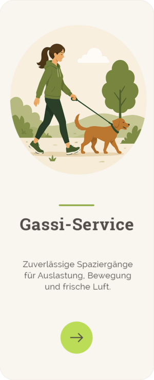 gassi-service gassi-service