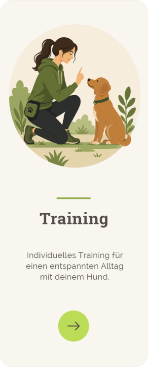 training training